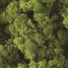 Quality Growers - Preserved Reindeer Moss - Moss for Crafts,