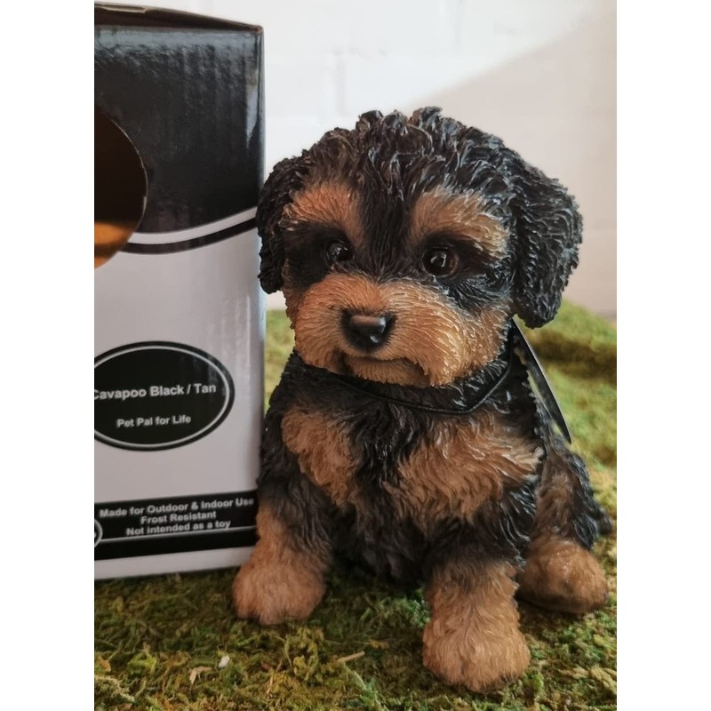Pet Pals Black and Tan Cavapoo | Resin Home or
