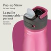 Contigo Ashland 2.0 Water Bottle with Straw and Leak-Proof Locking