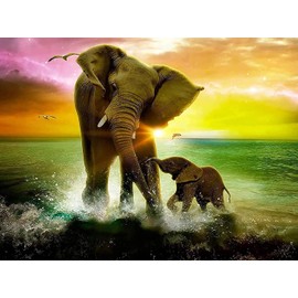 Bimkole DIY 5D Diamond Painting Accessories Elephant Art Painting Ocean Diamond Painting Kit Full Round Drill Painting by Numbers Painting Embroidery Cross Stitch Diamond Decoration (30 x 40 cm)