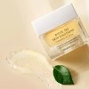 화이트티 스킨솔루션 리플레니싱 마이크로 젤크림 50ml White Tea Skin Solution