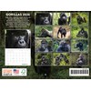 Gorilla Calendar 2026 Monthly Wall Calender 12 Month | American