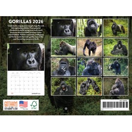 Gorilla Calendar 2026 Monthly Wall Calender 12 Month | American Made In The USA