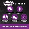 MouseX Throw Packs- for All Species of Rats Mice Safe