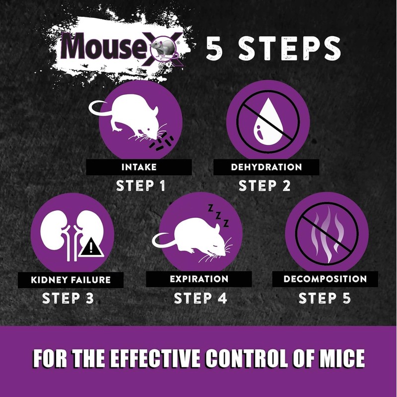 MouseX Throw Packs- for All Species of Rats Mice Safe