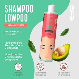 LATINA® | Shampoo Antifrizz - Sin Sulfatos y Parabenos - Anti Frizz Cabello | Belleza Mujer | Complementar con Tratamiento para Cabello Maltratado | 300ml