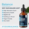 Balance Mullein Leaf Liquid Drops - 60ml (2 Month Supply)