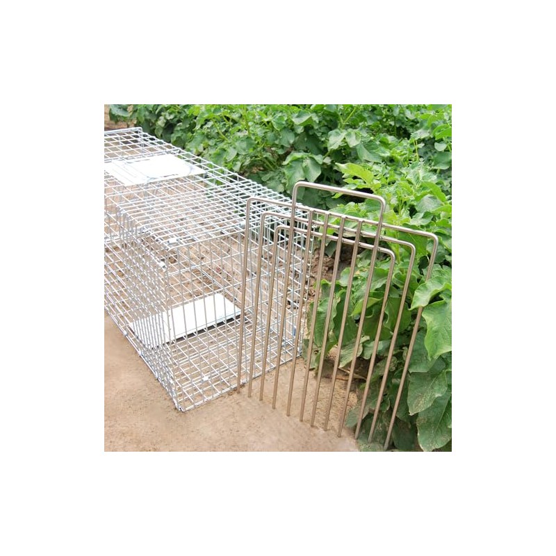 Trap Divider for Animal Traps - Superior Stainless Steel Cat