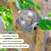 Threehoney 30 Pcs Air Layering Propagation Kit Reusable Half Black
