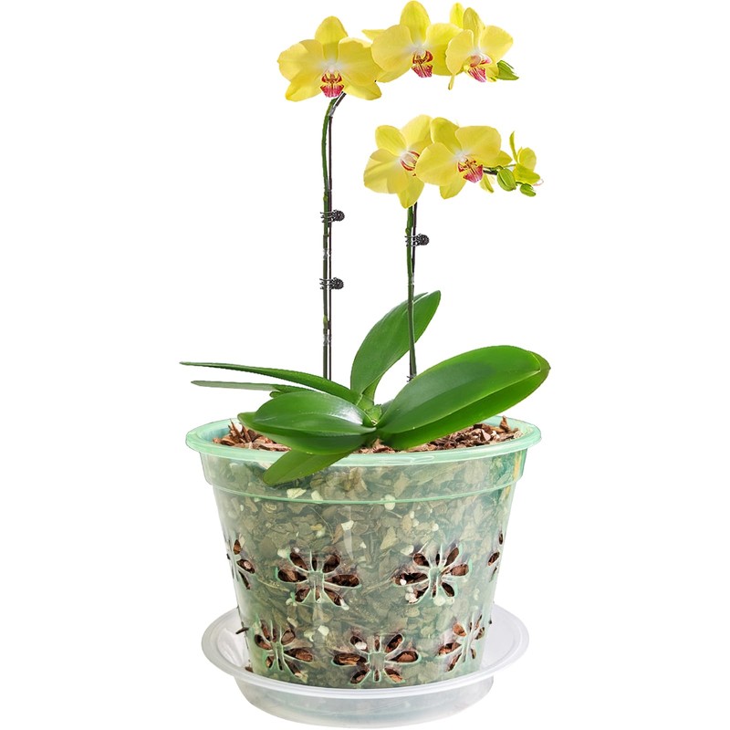 Blumiger Orchid Pot, 8 Pack Orchid Pots with Holes &