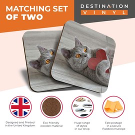 Great Coasters (Set of 2) Square/Glossy Quality Coasters/Tabletop Protection for Any Table Type - Grey Cat Kitten Love Heart Valentine #14324