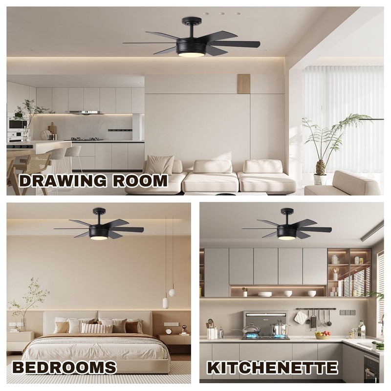 SHOWDI 42 Inch Ceiling Fan with Lights and Remote, 6