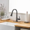 BATHFINESSE Kitchen Faucet, Oil Rubbed Bronze Finish, 360 Degree Swivel,