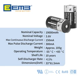 4Pack EEMB 3.6V D Cell Batteries ER34615 D Size Lithium Batteries 19000mAh Li-SOCL₂ Non-Rechargeable Battery LS-33600 XL-205F for CNC & Printing Machine Tool,Meter,Clock & 1 Year Manufacturer Warranty