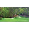 Biggies-Golf Murals-Augusta 54" X 27"