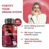Pure Quercetin 1000mg - 180 Vegan Quercetin Powder Capsules (2