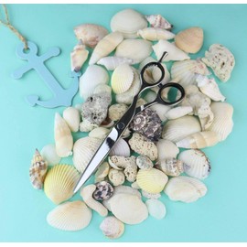 Jaguar Silver Line Ocean 5.75 Inch Pack of 1