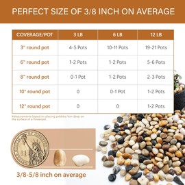 NUPICK 6lb River Rocks for Plants Indoor, 3/8 Inch Mixed Pebbles for Vase Fillers, Decorative Pea Gravel for Fish Tank, Natural Polished Stones for Succulent, Bonsai, Landscaping, Bird Baths