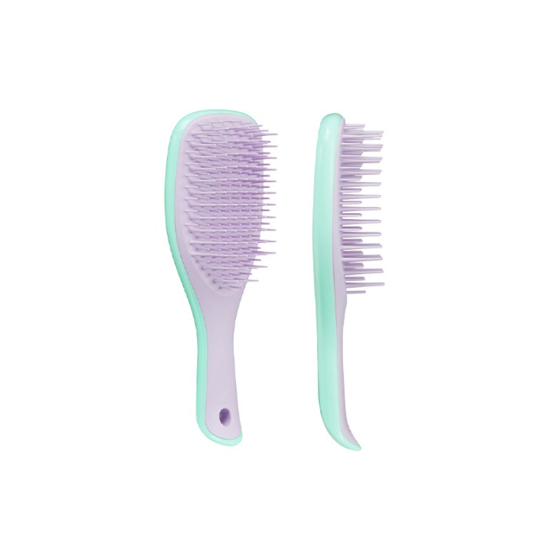 Tangle Teezer Wet Detangler Mini Hair Brush, Wisteria Leaf, 1