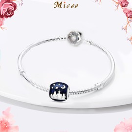 MICOO 925 Sterling Silver Charms for Bracelets and Necklaces Airplane Passport Dangle Pendants Evil Eye Butterfly Charms Beads Jewelry Gift for Women