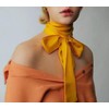 Long Thin Skinny Scarf Satin Neckerchief Ribbon Tie Waist Belt