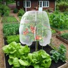 13.1 x 9.8 ft Large Tree Nets for Fruit Trees