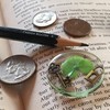 Real Four Leaf Clover Good Luck Pocket Token, Preserved, 1.25”
