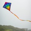 In the Breeze 3344 — Aurora 30" Diamond Kite —
