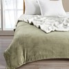 Great Bay Home Sherpa Fleece and Velvet Plush Twin Throw