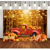 LYCGS 7X5ft Fall Photography Backdrop Fall Thanksgiving Party Backdrop Autumn