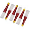 A Bagpipe Practice Chanter with 6 Pcs Plastic Reeds -