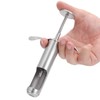 Fruit Core Remover Tool Jujube Corer Cherry Pitter Stainless Steel