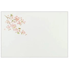Nagao 31030 Placemats, Cherry Blossoms, 100 Pieces, 10.2 x 15.0 inches (26 x 38 cm), Made in Japan