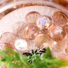DomeStar 1LB Flat Glass Marbles, Champagne Decorative Marbles for Vases