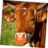 CIYODO 10pcs Livestock Nose Clips Calf Weaning Ring Plastic Calf