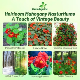 Outsidepride Double Gleam Mahogany Nasturtium Seeds - 200 Pcs Annual, Easy to Grow & Versatile, Flower Seeds for Planting Vibrant Blooms, Ideal for Gardens, Borders, and Pollinator Gardens