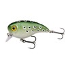 Berkley Pulse Biggie Crankbait Fishing Lure, Flat Running Hard Bait