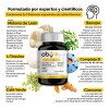 Oby Nootropicos Neuroprotector | Concentración, Memoria, Claridad Mental | Sin