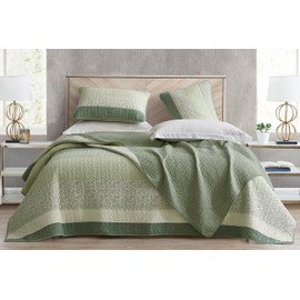Chezmoi Collection Reed 2-Piece Chic Patchwork Striped Quilt Set - Green Floral Coverlet - Pre-Washed Cotton Lightweight Reversible Bedspread, Twin Size