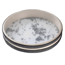 MEISH Wave Bead Ocean Drum Percussion Musical Instrument Musical Teaching Learning Toy Hand Percussion for Kids Child (10 inch)