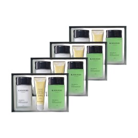 K Solegio middle-aged large capacity reboot daily men's cosmetics set green tea extract skin lotion 2 types 4 sets / 케이솔레지오 중년 대용량 리부팅 데일리 남성화장품세트 녹차추출물 스킨로션 2종 4세트