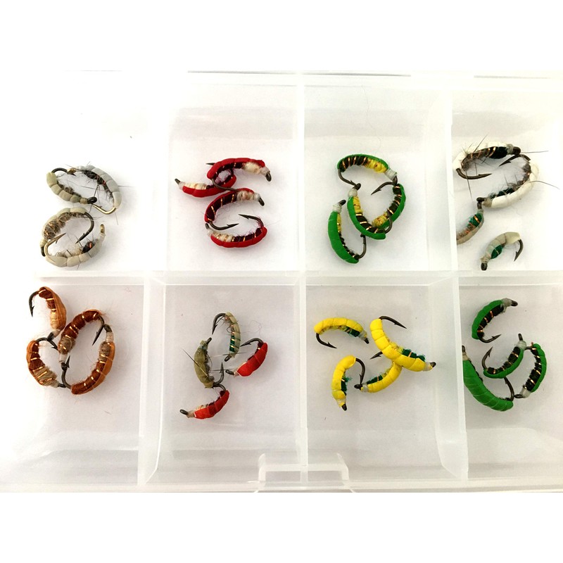 BestCity Fast sinking Czech nymphs Box of 24 Fishing Flies