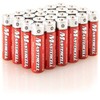 Dorcy 41-1631 Mastercell Alkaline AA Batteries (Pack of 24)