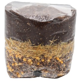 Mega Mix All-in-One Mushroom Grow Bag