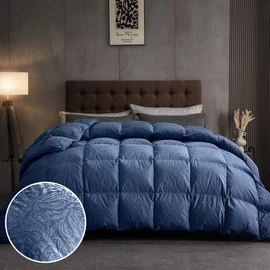 DAICO Goose Feather Down Comforter Queen Size, All Season Luxury Hotel Fluffy Duvet Insert, Ultra Soft 100% Cotton Shell with 8 Corner Tabs, Paisley Design (90x90'', Navy Blue)