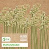 VFM - Eco Bamboo Knot Skewers 30 Pack
