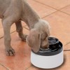 Fancy Pets Bebedero de Agua Tipo Fuente Automático para Perros