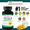 ELP ESSENTIAL Arnica Montana Capsules 100 Capsules