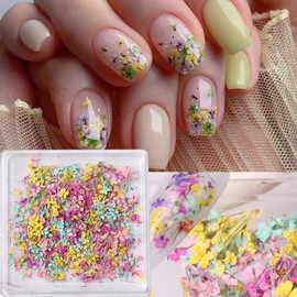 3D Dried Flowers for Nails, Spring Flower Nail Art Stickers 1Box Dried Flowers for Resin Crafts Colorful Small Natural Floral Dried Flower Decals for Summer Acrylic Nails Design Manicure Accessories