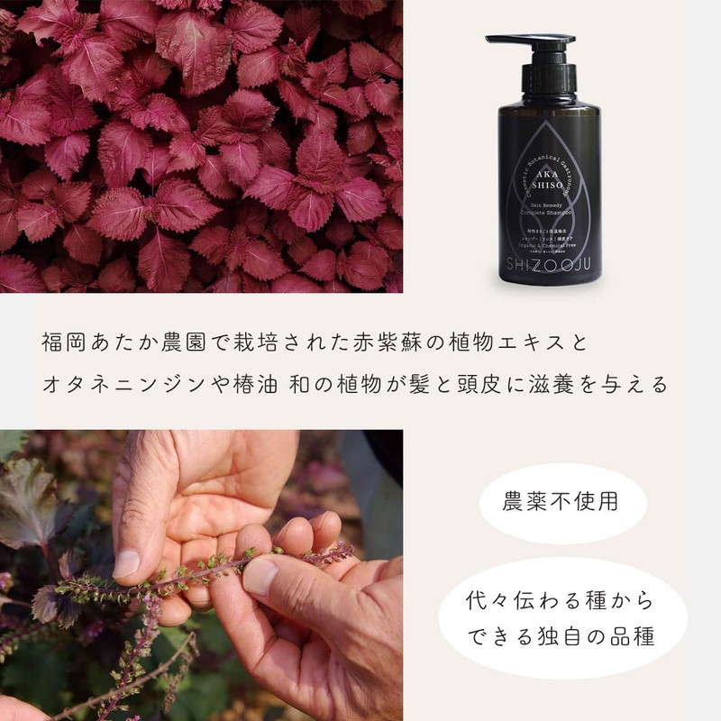 Shizuju Skin Remedy Complete Shampoo 10.1 fl oz (300 ml)